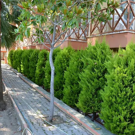 Yavuzhan 2*