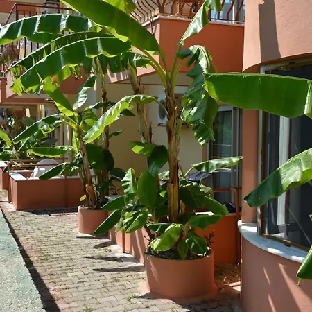 Otel Yavuzhan Side