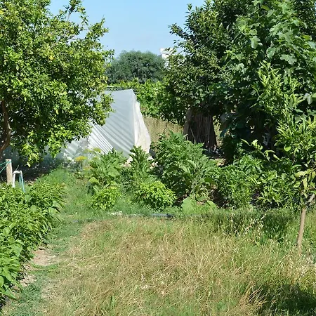 Hotel Yavuzhan Side