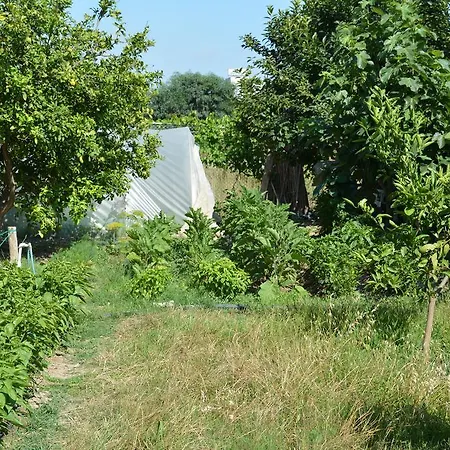 Otel Yavuzhan Side